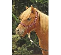 HKM Mini-Shetty Cabezada Azul Claro Mini Shetland