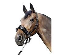HKM Sports Equipment 1167 - Canapé de Nailon con Acolchado de Felpa, Color Negro