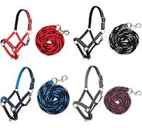 HKM Stars Conjunto Cabestro + Punto Navy Warmblut