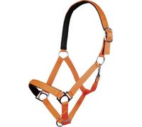 HKM Stars Funda Ange Kaltblut