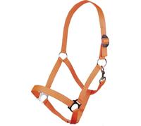 HKM Stars Funda Ange Pony