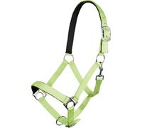 HKM Stars Funda Grün Warmblut
