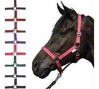 HKM Stars Funda Raun Pony