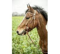 HKM-TEXAS Western trensen Juego - Crystal de + Extra Cinta/mordaza stüc