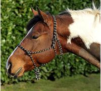 HKM Western Cabestro Occidental-1398 Raun Vollblut