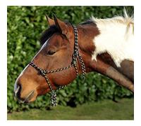 HKM Western Halter-13989158.0951 Caballos Occidentales, Poliéster, Grün, Thoroughbred