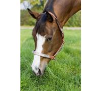 HKM Western Show Cabestro Occidental Raun Warmblut