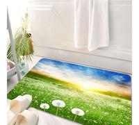 HKPOEQ Alfombrilla de Baño de Microfibra, Tapete para Puerta y Mascotas, Súper Grueso y Absorbente,Prado Lleno al Amanecer, Dientes de león y un Hermoso Cielo, Dientes de león y un idílic,50 x 80 cm