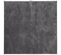 HKTMGDNG Alfombra de pelo corto (200 x 200 cm), color antracita | Alfombra de salón de aspecto de pelo suave con parte inferior antideslizante para dormitorio y pasillo, certificado Oeko-Tex.
