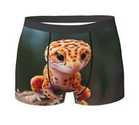HLBSDM Calzoncillos bóxer para Hombre con Estampado de Gecko y Leopardo en Color Arena, Suaves y cómodos.