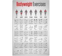 HLBSDM - Cartel metálico con infografías de ejercicios con peso corporal, pósteres de fitness para gimnasio, hogar, club, habitación, decoración de pared, placa de 30 x 40 cm
