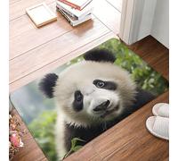 HLBSDM Felpudo de Entrada con diseño de Oso, Resistente y Duradero, Ideal para Exteriores e Interiores, Que atrapa la Suciedad, Absorbente, Antideslizante, de Perfil bajo, de 61 x 40 cm.