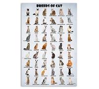 HLLNWB Póster de razas de gatos póster de gatos del mundo, divertido, póster para amantes de los gatos (sin marco, 40,6 x 61 cm)