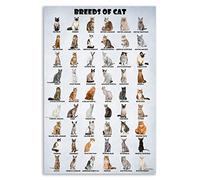HLLNWB Póster del gato del mundo, 30,5 x 45,7 cm
