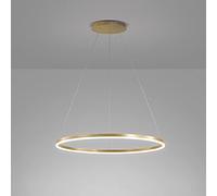 HLRTBCN Luz Colgante de LED nórdico Moderno lámpara de lámpara Circular Ajustable para la Sala de Estar de la Sala de Comedor de la Isla de Cocina (80 cm 50W de Oro Fresco Blanco) Aqiong