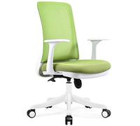 HLRTBCN Silla de Oficina giratoria de la Silla de Oficina ergonómica, Silla de Estudiantes en casa, Silla ergonómica, Mesa y sillas de Respaldo de Malla, Altura Ajustable, 5 Colores (Color: c) Aqiong