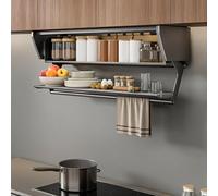 Hltdzer Armario Expositor de Pared para Cocina en Metal Gris con Puertas, Organizador Moderno para Botiquín, Alacena Colgante para Utensilios de Cocina(50cm/19.7in)