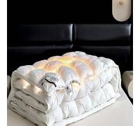 HLTQL Edredon Cama Invierno Gordo Plumas Extra Suave Y Caliente con Relleno De Plumas Edredones De Terciopelo Cama(#1,180x220cm-4.5kg)