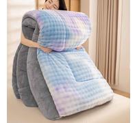 HLTQL Edredón de Terciopelo de Leche, edredón Grueso de Invierno, Manta Muy cálida y súper Suave para 2 Personas, edredón de Microfibra, edredón Acolchado Reversible(04,150x200cm/3.5kg)