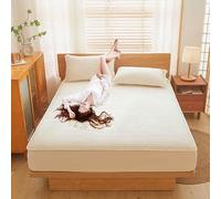 HLTQL Funda De Colchon Protector Colchon Sábana Bajera Acolchada De Soja, De Una Sola Pieza, Gruesa, Antideslizante, Antipolvo, Protector De Colchón.(05,100X200cm)