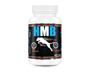 HMB 120 UD