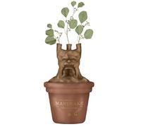 Macetero Mesa Harry Potter Mandragora - Macetero cerámica - Macetero Original - Decoración hogar Harry Potter - Jarrón Pared - Licencia Oficial
