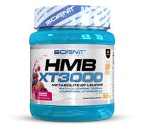 HMB XT 3000-3000 mg de HMB suplemento en polvo - Con Glutamina, Magnesio, Vitamina B6 y Vitamina D - Sabor frutos del bosque (300 g para 60 servicios)