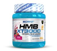 HMB XT 3000 - HMB 3000 mg con Glutamina, Magnesio, Vitamina B6 y Vitamina D - 300 g - HMB anticatabólico - HMB en polvo anticatabolico - Sabor frutos del bosque