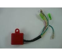 HMParts Atv/Moto de Cross/Pit Bike/Quad Carreras Interior Rotor CDI