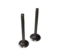 Hmparts Pit Bike / Dirt Bike / Atv / Quad Válvula Set V 110 Ccm