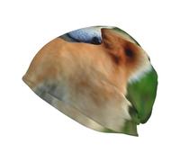 Hnnkloy Akita Inu Bokeh Mascotas Perros Akita Inu,Gorro de Punto de poliéster, Gorro de Calavera, pasamontañas