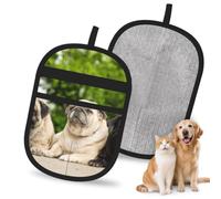 Hnnkloy Amistad de carlinos Bokeh Perros Mascotas Amigos Carlino, Paquete de 2 Guantes para Eliminar el Pelo de Mascotas, Guantes de Aseo antiestáticos para Perros y Gatos.
