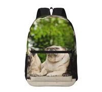 Hnnkloy Amistad Pug Bokeh Perros Mascotas Amigos Pug,Mochila informal de 17 pulgadas con bolsillos, resistente al agua, para la escuela.