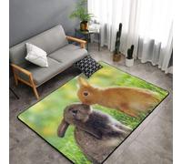Hnnkloy Amor de Conejo Impreso, Alfombra Grande Antideslizante para Sala de Estar o Dormitorio, 150 x 100 cm.