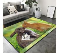 Hnnkloy Amor de Conejo Impreso, Alfombra Grande Antideslizante para Sala de Estar o Dormitorio, 208 x 148 cm.