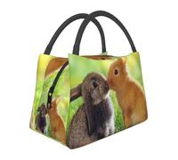 Hnnkloy Amor de conejo impreso,Bolsa de almuerzo portátil, bolsa isotérmica, fiambrera duradera, bolsa térmica reutilizable.