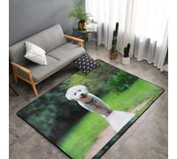 Hnnkloy Bichón Frisé Bokeh Mascotas Perros Parque Perros Blancos, Alfombra Grande Antideslizante para Sala de Estar o Dormitorio, 150 x 100 cm.
