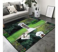 Hnnkloy Bichón Frisé Bokeh Mascotas Perros Parque Perros Blancos, Alfombra Grande Antideslizante para Sala de Estar o Dormitorio, 208 x 148 cm.