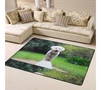 Hnnkloy Bichón Frisé Bokeh Mascotas Perros Parque Perros Blancos, Alfombra Grande Antideslizante para Sala de Estar o Dormitorio, 160 x 120 cm.