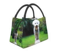 Hnnkloy Bichón Frisé Bokeh Mascotas Perros Parque Perros Blancos,Bolsa de almuerzo portátil, bolsa isotérmica, fiambrera duradera, bolsa térmica reutilizable.