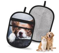 Hnnkloy Border Collie marrón Bokeh Dios con Ojos Amarillos, Paquete de 2 Guantes para Eliminar el Pelo de Mascotas, Guantes de Aseo antiestáticos para Perros y Gatos.