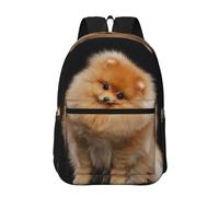 Hnnkloy Cachorro de perro Pomerania lindo,Mochila informal de 17 pulgadas con bolsillos, resistente al agua, para la escuela.