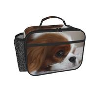 Hnnkloy Cachorros de Cavalier King Charles Spaniel,Bolsa de almuerzo portátil, fiambrera resistente, bolsa isotérmica reutilizable