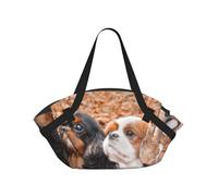 Hnnkloy Cachorros de Cavalier King Charles Spaniel en otoño,Esterilla de Camping portátil, Manta de Picnic Plegable Multifuncional Que también Sirve como Bolsa de Camping para Viajes.