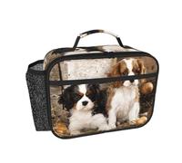 Hnnkloy Cachorros pequeños de Cavalier King Charles Spaniel,Bolsa de almuerzo portátil, fiambrera resistente, bolsa isotérmica reutilizable