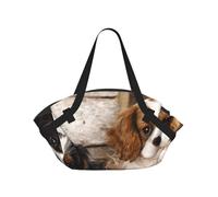 Hnnkloy Cachorros pequeños de Cavalier King Charles Spaniel,Esterilla de Camping portátil, Manta de Picnic Plegable Multifuncional Que también Sirve como Bolsa de Camping para Viajes.