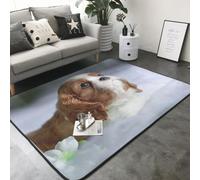Hnnkloy Cara de Cavalier King Charles Spaniel, Alfombra Grande Antideslizante para Sala de Estar o Dormitorio, 208 x 148 cm.