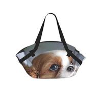 Hnnkloy Cara de Cavalier King Charles Spaniel,Esterilla de Camping portátil, Manta de Picnic Plegable Multifuncional Que también Sirve como Bolsa de Camping para Viajes.