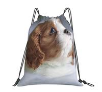 Hnnkloy Cara de Cavalier King Charles Spaniel,Mochila con cordón unisex, bolsa deportiva para gimnasio, mochila informal para el día a día.