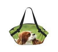 Hnnkloy Cavalier King Charles Spaniel,Esterilla de Camping portátil, Manta de Picnic Plegable Multifuncional Que también Sirve como Bolsa de Camping para Viajes.